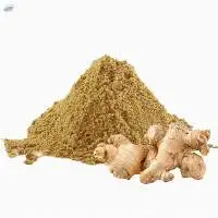 Ginger Powder
