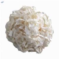 White Onion Kibbled