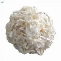 White Onion Kibbled