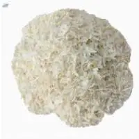 White Onion Chopped