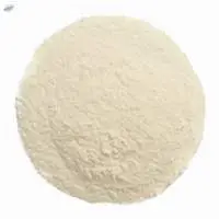 White Onion Powder