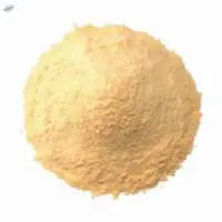 Garlic Powder