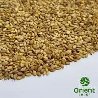 Sesame Seeds Crushing Grade Golden/brown