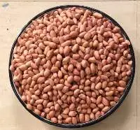 Peanut Kernels