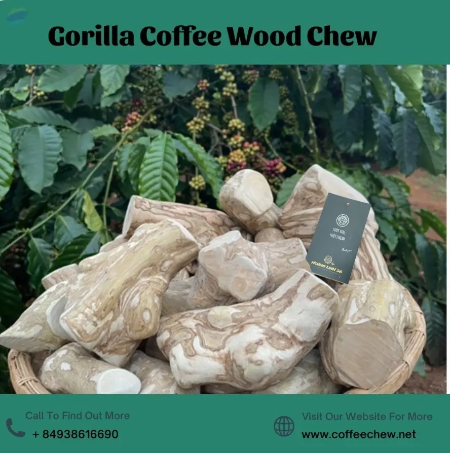 New Design 2023 Gorilla Coffee Wood Chew