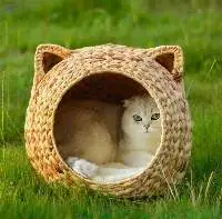 Cheap Price Water Hyacinth Handwoven Cat House