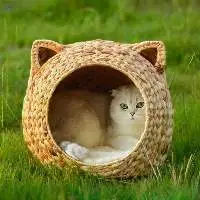 Pet Bed Made By Water Hyacinth