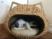 Water Hyacinth Wicker Cat House
