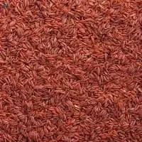 Red Rice