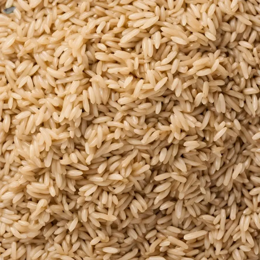 Brown Rice