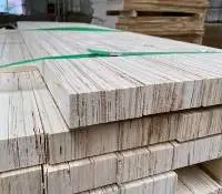 LVL Plywood