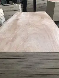 Okume Plywood
