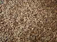 Beans Coffee Robusta Gayo Natural