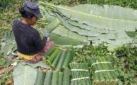 Banana Leaves