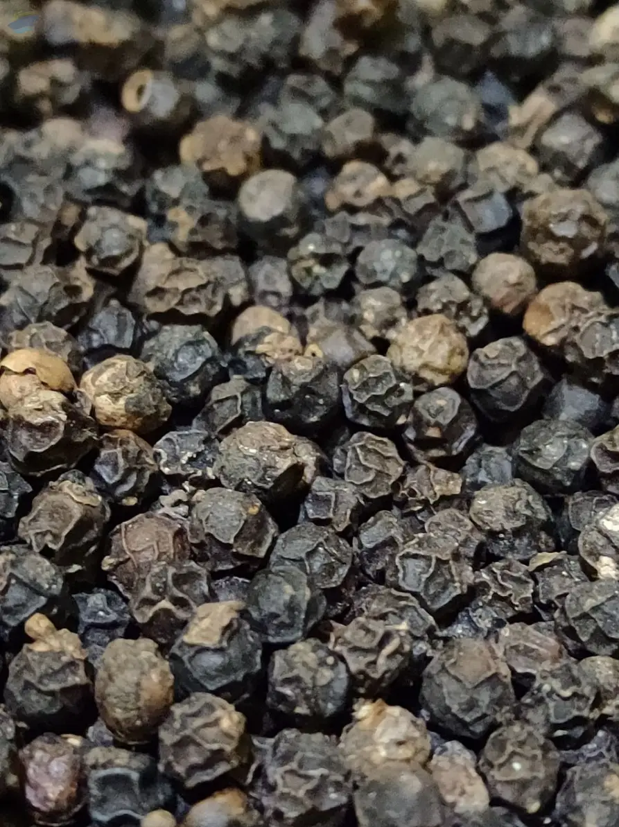 Spices