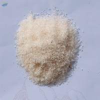 Table Salt