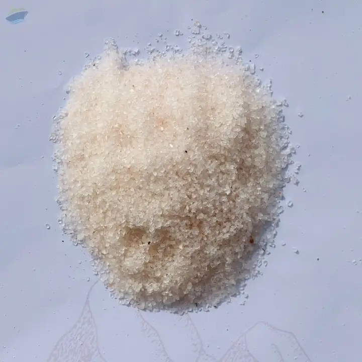 Table Salt