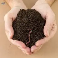 Bio Humus - Biological Fertilizer