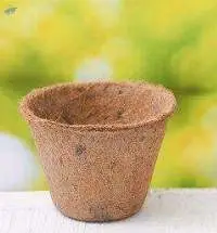 Fiber Pots