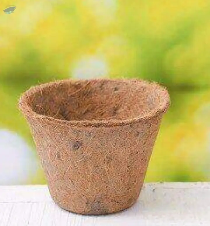 Fiber Pots