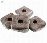 Starter Blocks