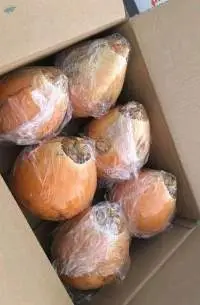 Fresh King Coconut  
