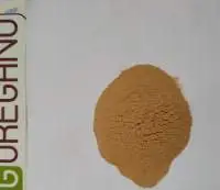 Garlic Powder