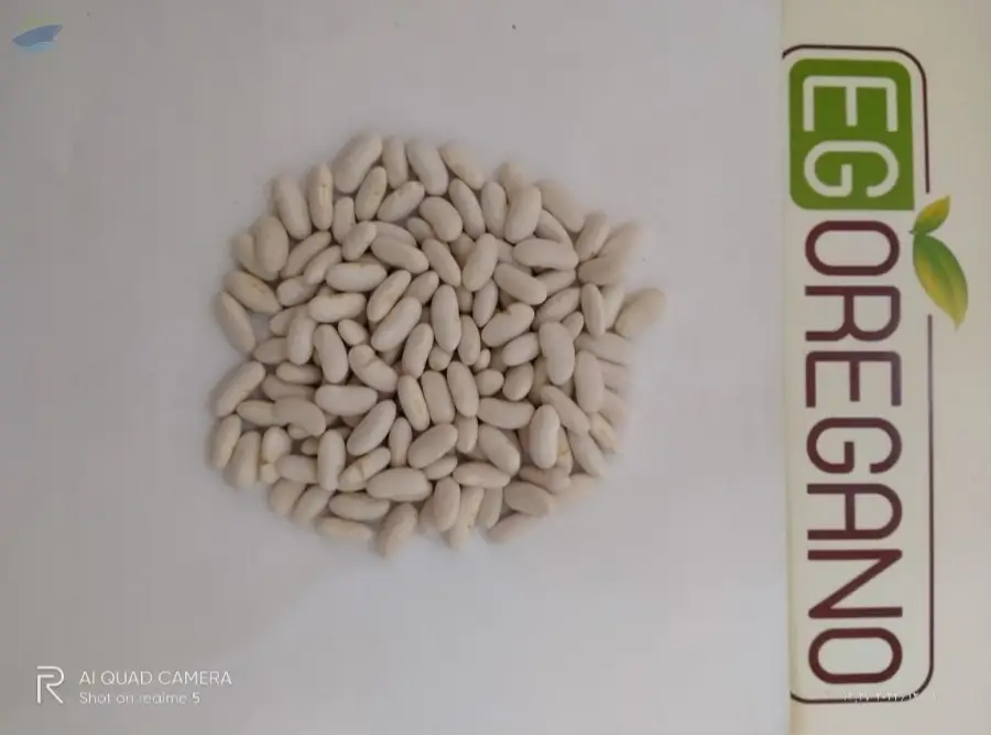 White Beans