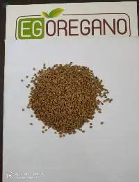 Fenugreek Seeds