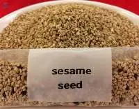 sesame