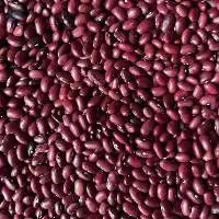 Kidney Beans/ Rajma