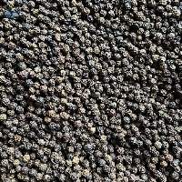 Black Pepper