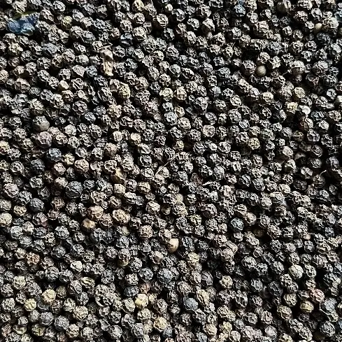 Black Pepper