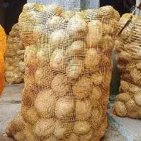 Potato