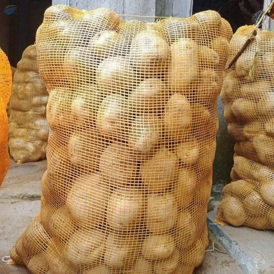 Potato