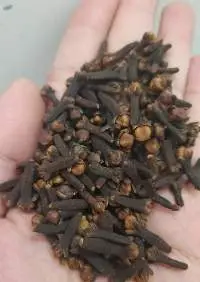 Cloves