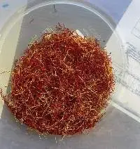 Saffron