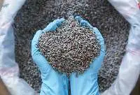 NPK Fertilizer