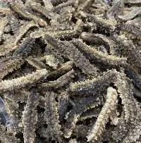 Dried Sea Cucumber