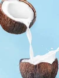 Coconut Cream / Coconut Milk