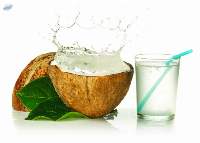 Pure / Natural Coconut Water