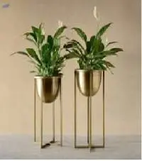 Planters