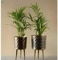 Planters
