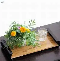 Trays