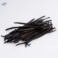 Vanilla Planifolia Dried (extraction)