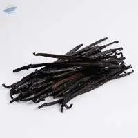 Vanilla Planifolia Dried (extraction)