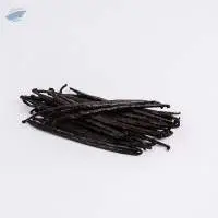 Vanilla Planifolia Gourmet Premium Grade B