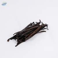 Vanilla Tahitian Gourmet Premium Grade B
