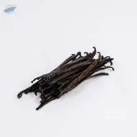 Vanilla Tahitian Gourmet Premium Grade B