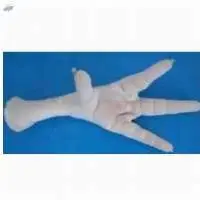 Frozen Chicken Paw